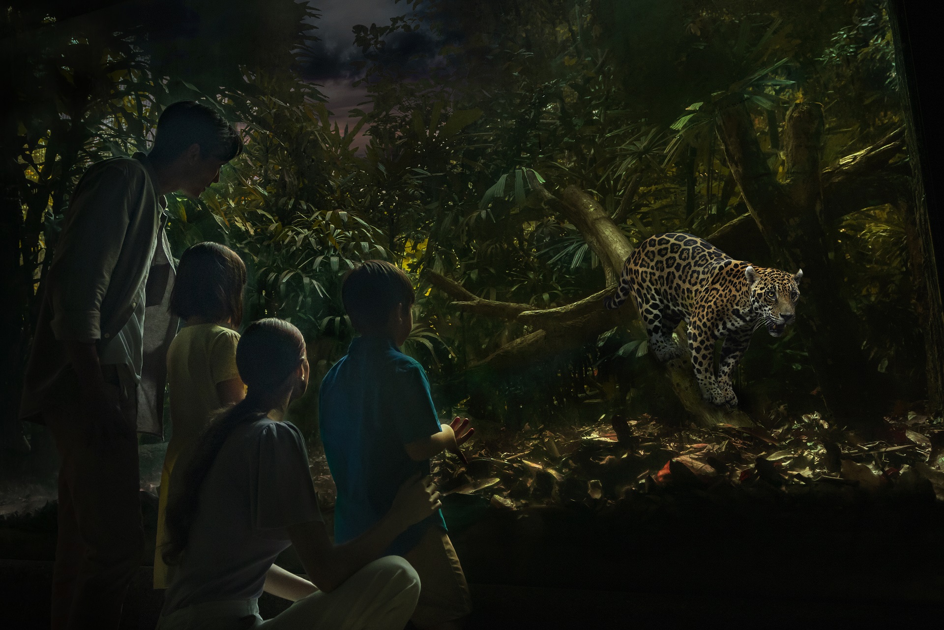 ナイトサファリ内で再集合